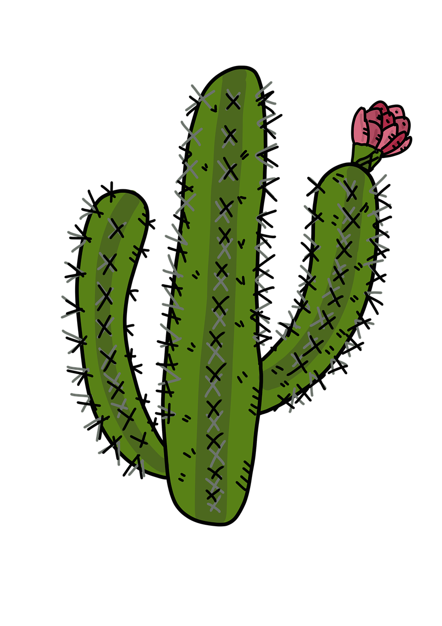 Nopal Cactus